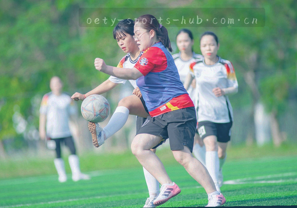 档案夹与编号标签的局部特写，线条与标签清晰，画面无人物